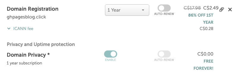 Confirming the .click domain purchase