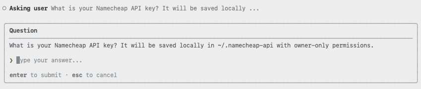 Copilot CLI prompting for the Namecheap API key