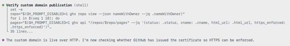 Copilot verifying DNS resolution for the custom domain